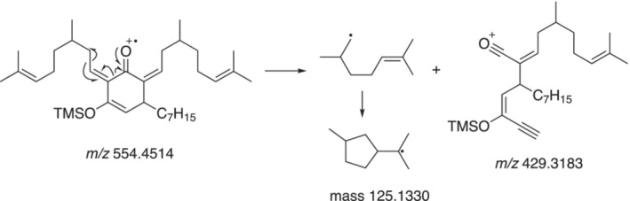 Fragmentation mechanism of the TMS‐enol ether with an m/z 554 to the ion m/z 429.