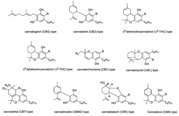 Cannabinoid type derived from an olivetoid backbone. R = H (neutral cannabinoids); R = COOH (acidic cannabinoids).