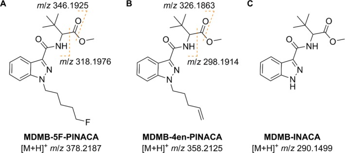 Molecular structures of the SCRAs MDMB‐5F‐PINACA (A), MDMB‐4en‐PINACA (B), and MDMB‐INACA (C) with proposed fragmentation patterns.
