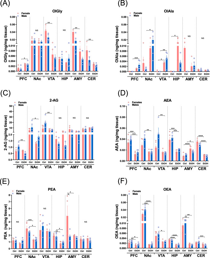 Lipidomic analysis of eCBs and eCB-Ls following chronic EtOH self-administration in female and male mice.A–F One day following the last EtOH self-administration session, animals were sacrificed and the PFC, NAc, VTA, HIP, AMY, and CER were dissected and analyzed for the expression levels of eCBs using LC–MS. The levels of OlGly, OlAla, 2-AG, AEA, PEA, and OEA are expressed as ng/mg of tissue weight. Two-way ANOVA followed by Sidak’s multiple comparisons revealed that chronic EtOH self-administration significantly elevated OlGly level in the PFC of female mice [red, N = 4–5 mice/group; F (1,14) = 14.19, P = 0.0021; Ctrl vs. EtOH, P = 0.0230] and OlAla levels were elevated in PFC and NAc of male (blue) and PFC of female and male mice. *P < 0.05, **P < 0.01, ***P < 0.001. Detailed statistical analysis for all the panels are presented in Supplementary Table S3. NS not significant, PFC prefrontal cortex, NAc nucleus accumbens, VTA ventral tegmental area, HIP hippocampus, AMY amygdala, CER cerebellum, eCBs endocannabinoids, OlGly N-oleoyl glycine, OlAla N-oleoyl alanine, 2-AG 2-arachidonoyl glycerol, AEA N-arachidonoyl ethanolamine, OEA N-oleoyl ethanolamide, PEA N-palmitoyl ethanolamide.