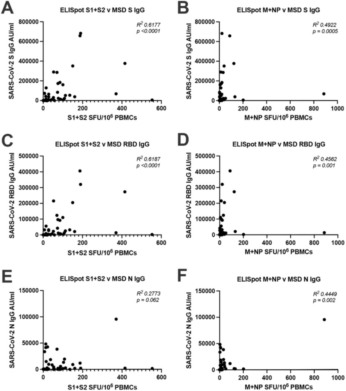 Correlation between T cell responses measured by ELISpot and antibodies measured by MSD binding assay.(A) Correlation analysis between ELISpot S1+S2 and MSD S IgG (B) ELISpot M+NP and MSD S IgG (C) ELISpot S1+S2 and MSD RBD IgG (D) ELISpot M+NP and MSD RBD IgG (E) ELISpot S1+S2 and MSD N IgG (F) ELISpot M+NP and MSD N IgG. N = 47 for each analysis. Correlation analysis was carried out with Spearman’s r correlation and two-tailed P values reported, with alpha = 0.05.