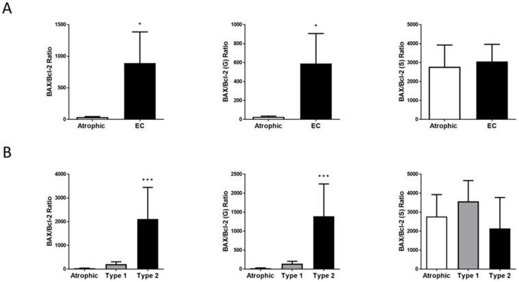 Effect of EC Type on ‘the Hallmark of Apoptosis’. Panel (A) shows the relative expression of the pro-apoptotic marker BAX when compared to the expression of the anti-apoptotic marker Bcl-2 in atrophic and endometrial cancer tissues. The BAX:Bcl-2 ratio is higher in EC with the significant effect associated with glandular (G) structures alone (* p < 0.05; Student’s t-test). Stromal tissues (S) do not contribute to the BAX:Bcl-2 ratio. Sub-group analysis (panel (B)) indicated this effect was confined to Type 2 EC where a significant elevation of the apoptosis effects was confined to the glandular (G) tissue (*** p < 0.001; one-way ANOVA with Tukey’s HSD test compared to the control atrophic tissue).