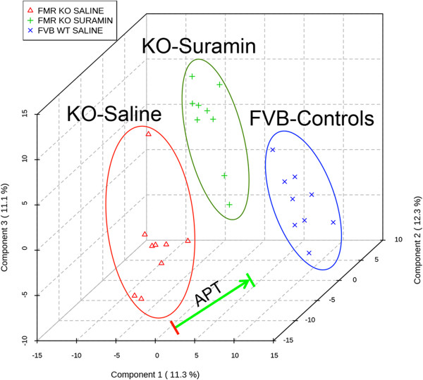 Antipurinergic therapy improved the widespread metabolomic abnormalities in the Fragile X mouse model. A total of 673 plasma metabolites from 60 biochemical pathways were measured by liquid chromatography tandem mass spectrometry (LC-MS/MS) and analyzed by partial least squares discriminant analysis (PLSDA). The three top multivariate components were then plotted on x, y, and z-axes, respectively. Suramin treatment shifted metabolism in the direction of wild-type controls. Age 25 weeks, N = 9-11 per group.