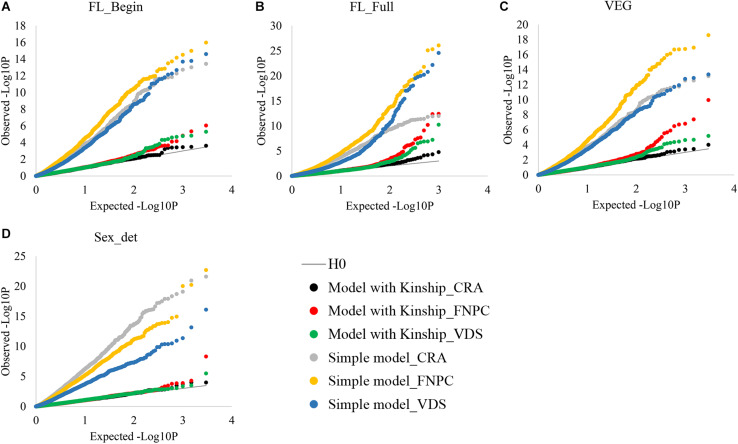 Cumulative plot distributions of beginning of flowering (A), full flowering (B), length of the vegetative growth period (VEG) (C), and sex determination (D). The cumulative distributions of the observed –lop10P for the simple model (no corrected for population structure) and the kinship models (corrected for population structure) under the expectation that random SNP markers are unlinked to the polymorphism controlling the traits.