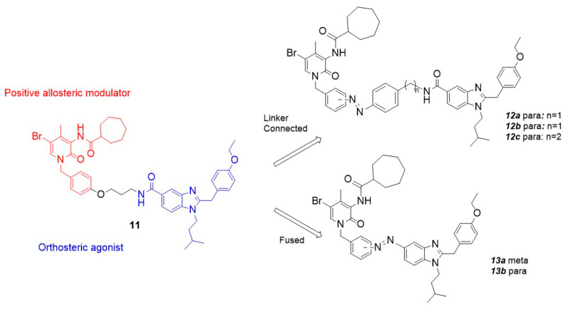 Design of photoswitchable dual-steric ligands based on compound 11 according to two different approaches.