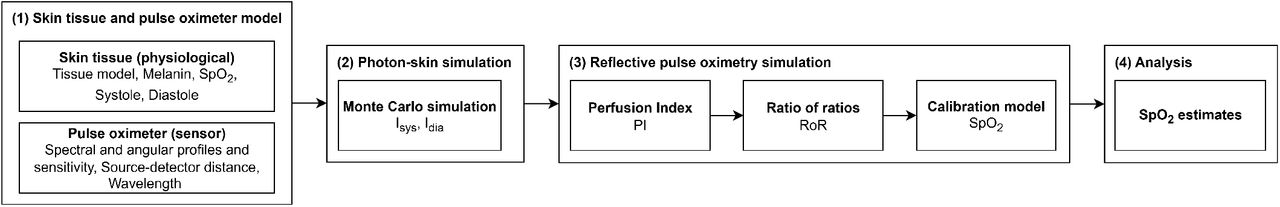 Overview of our simulation approach, comprising (1) skin tissue and pulse oximeter modelling (skin physiology and sensor configuration), (2) photon–skin simulation using Monte Carlo (MC) methods, (3) reflective pulse oximetry (PO) simulation to generate perfusion index (PI), ratio of ratios (RoR), SpO2 calibration constants (A,B,C), and (4) analysis using root-mean-square error of SpO2 estimation (RMSE, i.e. average RMSE Arms) and RMSE distribution tail-errors (P90, P95, P99).