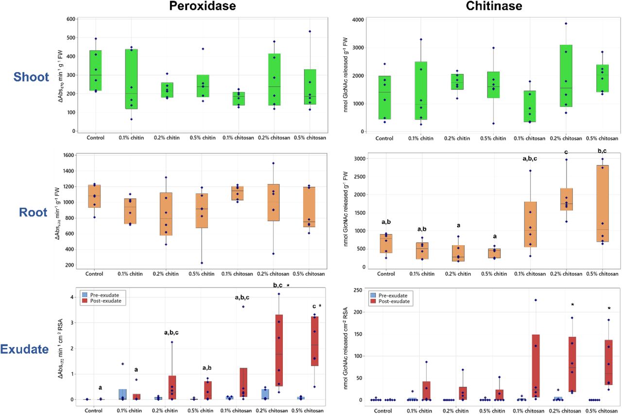 Peroxidase and chitinase activities measured from shoot and root tissues and pre- and post-exudates of control, chitin and chitosan treatments within six biological replicates. Letters (a-c) refer to statistically significant difference (P < 0.05) using one-way ANOVA, followed by Tukey’s post hoc analysis and asterisk (*) indicates statistically significant difference (P < 0.05) between pre- and post-exudate of each treatment using paired T-test.