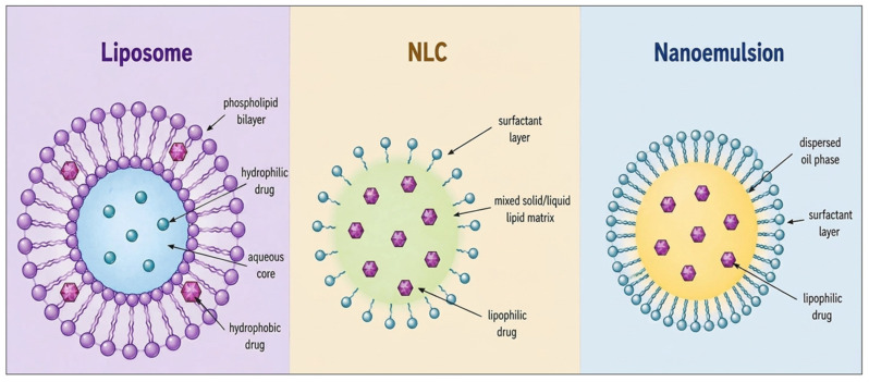 Schematic representation of the main lipid-based nanostructured systems that load cannabinoids: liposomes, nanostructured lipid carriers and nanoemulsions.