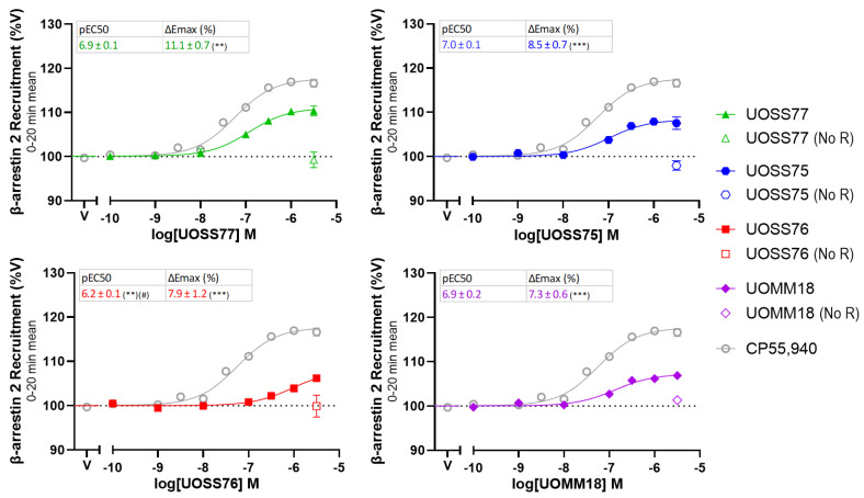 β-arrestin-2 plasma membrane translocation induced by varying concentrations of compounds of interest, in cells transfected with human CB2 or control plasmid (“No R”). Biosensor measurements over a 20 min drug treatment were averaged, then normalised to vehicle-treated (V; 100%). pEC50 and ΔEmax (% increase above V) are displayed in boxes for test compounds. CP55,940 has pEC50 7.2 ± 0.1 and ∆Emax 17.6% ± 0.8%. Plotted and parameter data are mean ± SEM from three independent experiments. Asterisks and hashes represent a significant difference to the parameters of CP55,940 and UOSS77, respectively. #, ** and *** represent p < 0.05, 0.01 and 0.001, respectively.