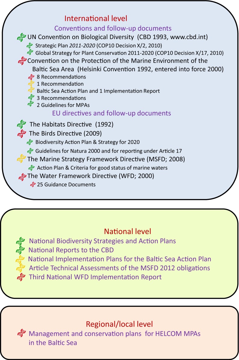 Documents at the international, national, and regional/local level investigated with respect to how concerns for genetic biodiversity are expressed. The color-coded DNA symbols indicate the average degree to which conservation genetic concerns are included in the documents—green good, yellow insufficient, red nothing/poor (cf. Tables 1, 2, 3, S1)