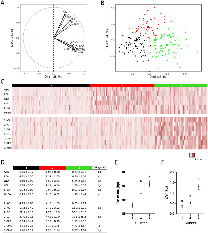 Hierarchical clustering based on principal component analysis (PCA) of circulating NAEs and 2‑MAGs (n = 195). (A) Loading plot of the principal component analysis including all circulating levels of NAEs and 2-MAGs. (B) PCA visualization of NAE and 2‑MAG profile for each individual. Colors indicate the 3 clusters determined using hierarchical clustering. (C) Heatmap representation of normalized levels of each NAE and 2‑MAG according to the clusters. (D) Mean ± SD of circulating NAEs and 2‑MAGs by clusters. Analysis of variance and Tukey HSD post hoc statistics are shown: (a) 1 vs 2; (b) 1 vs 3 and (c) 2 vs 3. (E) Fat mass (kg) and (F) visceral adipose tissue mass (kg) according to clusters with analysis of variance and Tukey post hoc test. Letters indicate significant differences between clusters (p < 0.05).