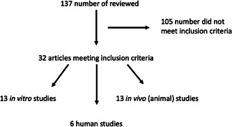 Diagram of articles reviewed.