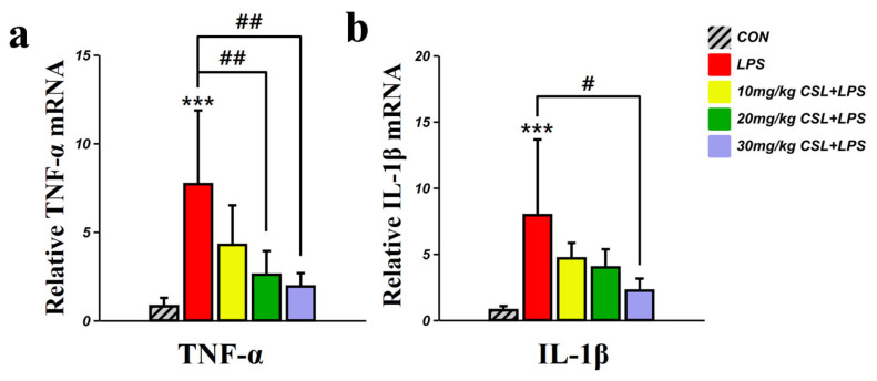 Inhibitory effects of CSL on the expression of pro-inflammatory cytokines in the prefrontal cortex (PFC) of the LPS model. (a) TNF-α mRNA level and (b) IL-1β mRNA level in the PFC. CSL administration significantly reduced the expression of TNF-α and IL-1β in a dose-dependent manner compared to the LPS group. Results are expressed as mean ± standard deviation (S.D.). One-way ANOVA followed by Tukey’s post hoc test. *, compared with the CON group; #, compared between the groups. #, p < 0.05; ##, p < 0.01; ***, p < 0.001. (n = 6 per group).
