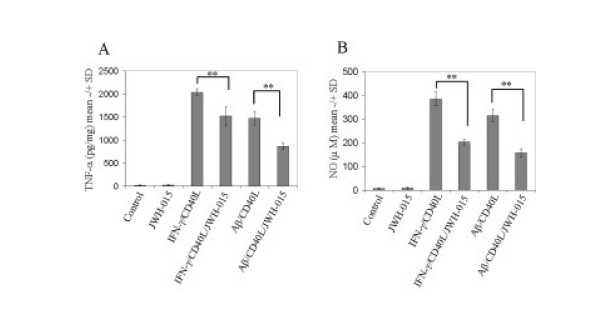 CB2 stimulation attenuates microglial proinflammatory cytokine release. Mouse primary microglial cells were seeded in 24-well tissue-culture plates (1 × 105/well) and co-treated with either IFN-γ (100 U/mL)/CD40L protein (2 μg/mL) or Aβ1–42 (1 μM)/CD40L protein (2 μg/mL) in the presence or absence of cannabinoid receptor CB2 agonist (JWH015, 5 μM) for 24 hr. Cell cultured supernatants were collected and subjected to TNF-α cytokine ELISA (A) and NO release assay (B) as indicated. TNF-α production was represented as mean pg of TNF-α per mg of total cellular protein (+/- SD). Similar results were obtained in three independent experiments. ANOVA and post hoc testing revealed significant differences between IFN-γ/CD40L and IFN-γ/CD40L and JWH-015 (** p < 0.005); Aβ1–42/CD40L and Aβ1–42/CD40L plus JWH-015 treatment (** p < 0.001).