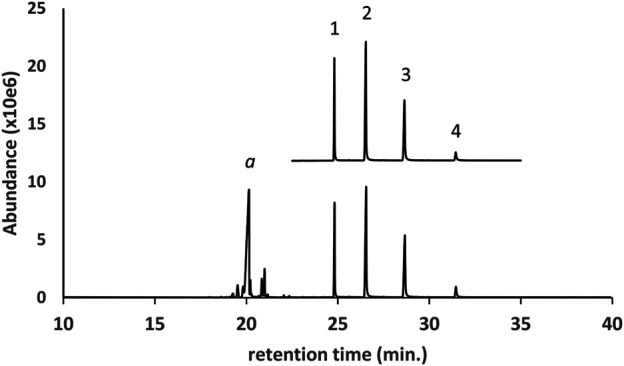 GC-MS chromatogram for a d9THC vaping liquid (peak label a, lower trace) in which medium chain triglycerides (MCTs) were identified. The established MCT oil reference sample (upper trace, expanded scale, offset) is shown for comparison. The triglycerides were identified as follows: 1- trioctanoin; 2- dioctanoyl/monodecanoyl triglyceride; 3- monooctanoyl/didecanoyl triglyceride; and 4- tridecanoin.