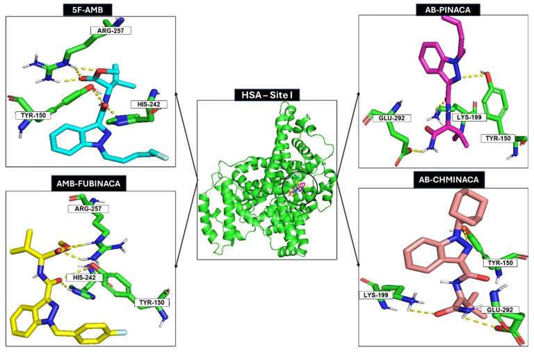 5F-AMB, AB-PINACA, AMB-FUBINACA, and AB-CHMINACA docking with HSA (site I). Nitrogen, oxygen, hydrogen, and fluorine are represented as blue, red, white, and baby-blue sticks, respectively. HSA (site I) is represented as a green cartoon, and 5F-AMB, AB-PINACA, AMB-FUBINACA, and AB-CHMINACA are represented as cyan, magenta, yellow, and baby-pink sticks, respectively. Hydrogen bond interactions between 5F-AMB and Tyr150, Arg257 and His242, AB-PINACA and Lys199, Tyr150 and Glu292, AMB-FUBINACA and His242, Tyr150, Arg257, AB-CHMINACA and Lys199, and Glu292 and Tyr150 are represented as yellow dashes.