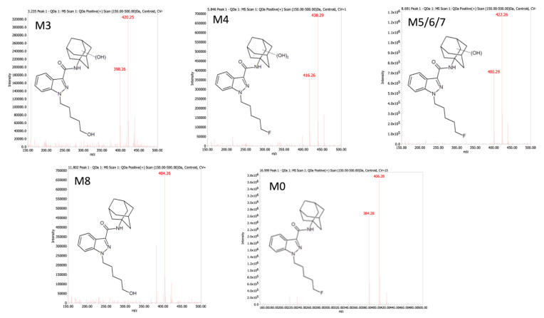 MS spectra for analyte parent masses corresponding to fluorescence peaks from 5F-APINACA microsomal reaction. We resolved and analyzed metabolites from a 500 μM 5F-APINACA reaction to correlate fluorescent peaks to parent masses for analytes using a Waters Acquity UPLC-Fluorescence/QDa (single quadrupole) instrument. Major ions reflect parent masses and sodium adducts (m/z). Both [MH]+ and [M + Na]+ values are indicated in the figures.