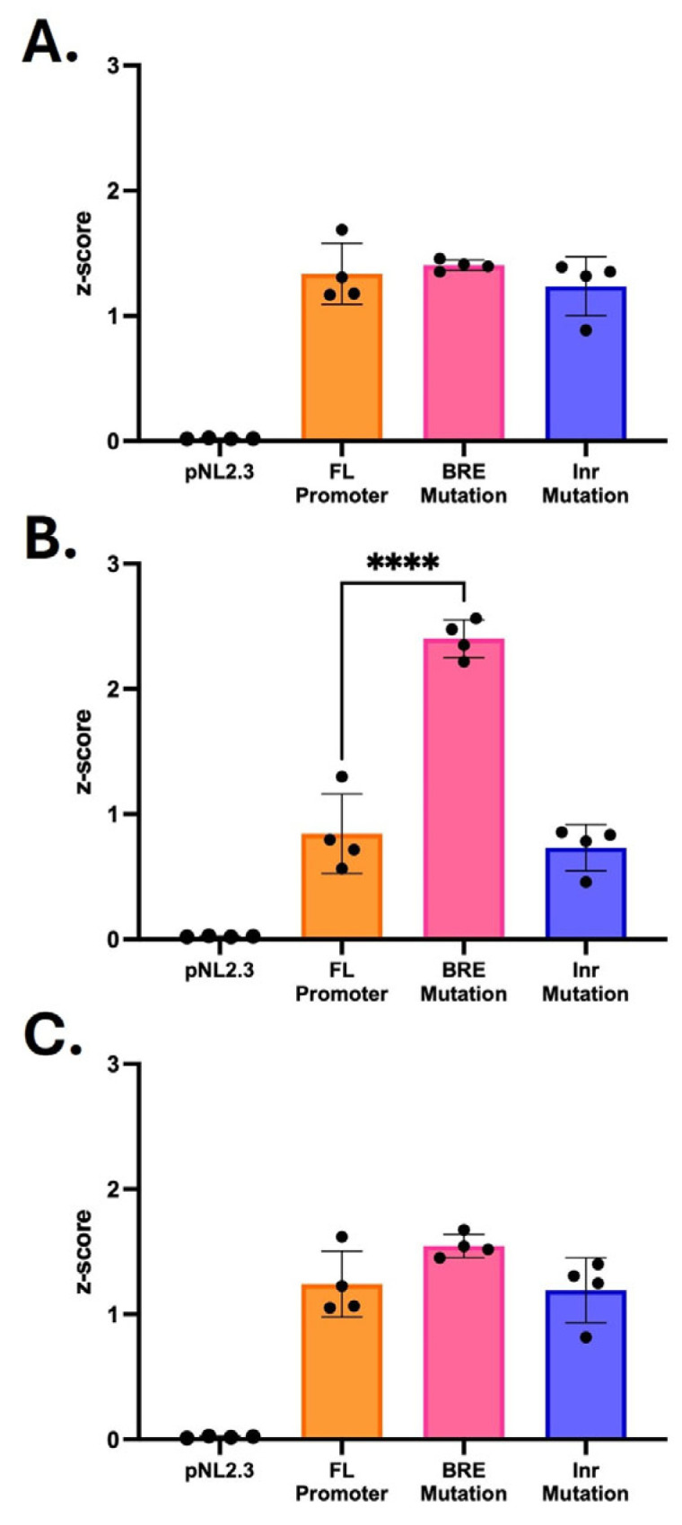 Luciferase reporter activity of BRE- and Inr-mutated full-length CNR1 promoter. The full-length (FL) CNR1 promoter was separately mutated at the BRE and Inr promoter elements. The unmutated FL promoter, BRE-mutated FL promoter, and Inr-mutated FL promoter were transfected into all three cells line. Luciferase reporter activity assays were performed, and all three FL promoters were tested. The reporter activity for each promoter was calculated as a z-score of the total relative light units (RLUs) from each experiment. HEK293T (A) and SHSY5Y (C) did not show significant changes in activity at either mutation. In HCT116 (B), the BRE-mutated FL promoter displayed a two-fold increase in luciferase activity when compared to unmutated FL. Data are represented as z-score mean ± S.D. with individual replicates shown (N = 4). The statistical differences were evaluated by ordinary one-way ANOVA followed by Dunnett’s multiple comparison test. **** p < 0.0001.