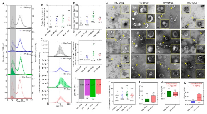 Physical characterization of semen exosomes (SE) from different clinical groups: (A) Exosomes were isolated from semen specimens obtained from donors in different clinical groups—HIV−Drug−, HIV−Drug+, HIV+Drug−, and HIV+Drug+. Seminal plasma from different participants were pooled, and the exosomes were purified by size exclusion chromatography (SEC). Six pools of clarified seminal plasma (n = 2, 100 µL/donor) from each of the four clinical groups were purified by size exclusion chromatography (SEC), and fractions were collected. UV–Vis was used to monitor absorbance at 280 nm and turbidity at 600 nm, indicative of the presence of proteins and lipid-containing vesicles, respectively. The dotted curve and filled curve represent absorbance profiles at 280 nm (protein) and 600 nm (lipid), respectively. The gray vertical rectangle highlights exosome fraction. (B) Purified SE fractions were pooled, and total protein concentration was determined by Bradford assay. Nano Tracking Analysis (NTA) measurements of the different SE physical properties: (C) size distribution profile, (D) NTA-based particle mean size, (E) mean particle concentration, and (F) Mean zeta potential (ζ-potential, mV). (G) Negative-stain TEM images of purified SE from the four clinical groups: The insets correspond to zoomed areas indicated by the arrow. All scale bars = 100 nm. (H) TEM-based mean particle size from Figure 1G determined with Image J. Assessment of HIV proteins: (I) HIV reverse transcriptase (RT) and (J) HIV p24. A total of 30 µg purified SE (~6 × 109 particles) from HIV+ groups (6 pools of 2 donors each) were tested in triplicate. An equivalent volume of PBS was used as the negative control. (K) Cocaine metabolite ELISA. A total of 30 µg purified SE (~6 × 109 particles) from Drug+ groups (6 pools of 2 donors each) were tested in triplicate. Equivalent volume of Phosphate Buffered Saline (PBS) was used as a negative control. The numbers in the graphs of Figure 1B,D–F,H indicate mean values. Error bars indicate SEM of 6 biological replicates. For a two-group comparison, unpaired t-test with Welch’s correction was used to determine the differences between the groups. For a four-group comparison, ordinary one-way ANOVA test (Dunnett’s correction) was used to determine the differences between the SE groups as compared to HIV−Drug−. * p < 0.05, ** p < 0.01, and ns, nonsignificant.
