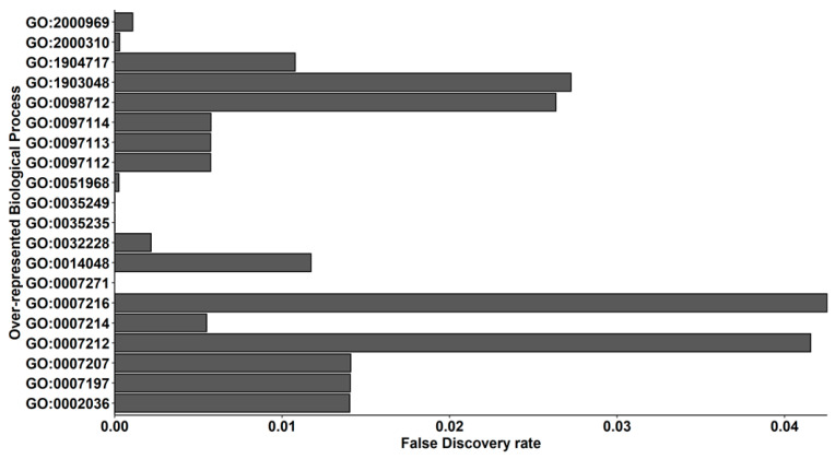 Barplot of over-represented terms in the Biological Process category of Gene Ontology related to synapses. On the x-axis, the False Discovery Rate for each term in the y-axis is represented. Even if acetylcholine (GO:1903048, GO:0007207, GO:0007197, GO:0007271) and dopaminergic (GO:0007212) terms are included, most of the terms (GO:0097114, GO:2000310, GO:0097113, GO:2000969, GO:1904717, GO:0097112, GO:0002036, GO:0035235, GO:0098712, GO:0007216, GO:0014048, GO:0051968, GO:0035249, GO:0007214, GO:0032228) are associated to glutamatergic synapsis.