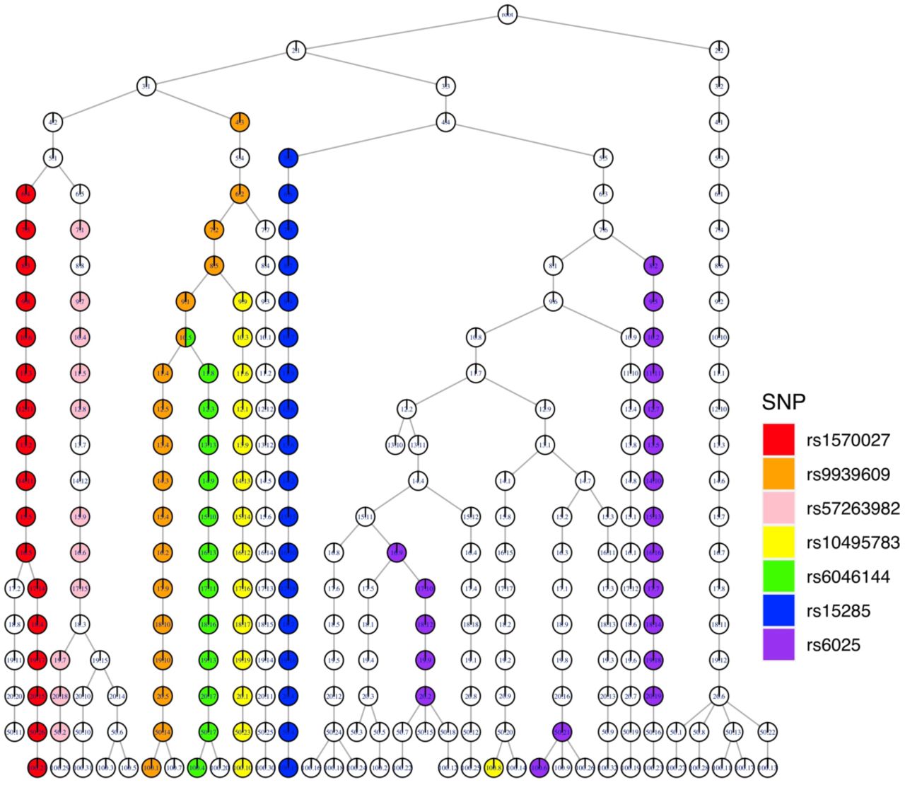 Association of SNPs and topics from different treeLFA models.The associations of a few example SNPs and topics inferred by different treeLFA models are visualised on the tree structure of topics. The tree structure of topics is the same as the one in Figure 5b. Topics significantly associated with 7 different SNPs are highlighted with different colours on the tree structure. The numeric results are in Supplementary Table 31.