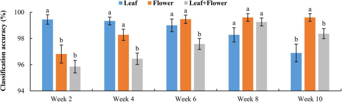 Classification accuracies in differentiating hemp cultivars based on the samples at each growth stage. The classification accuracy is obtained by averaging the accuracies in 30 modeling replicates, and the error bar indicates the corresponding to the (positive/negative) standard error. At each growth stage, the two accuracies with different letters are statistically different at the 5% significance level.