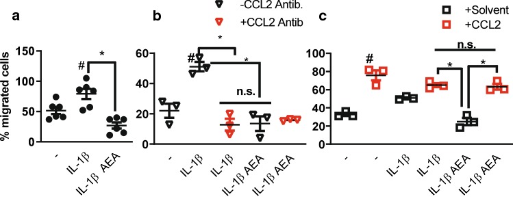 CCL2 is a functional important target of the inhibitory effect of AEA. a–c Boyden chamber assay with THP1 leukocytic cells and conditioned medium of HAoSMCs treated with or without 100 nmol/L AEA (2 h) and 10 ng/mL IL-1β (3 h) as indicated (a). Effect of CCL2-neutralizing antibody (b, 1:1000 in condition medium) or CCL2 protein recombinant protein (c, 50 ng/mL in conditioned medium). N = 3–6, #p < 0.05—vs. treatment. Ordinary one-way ANOVA with Tukey’s multiple comparison post-hoc test
