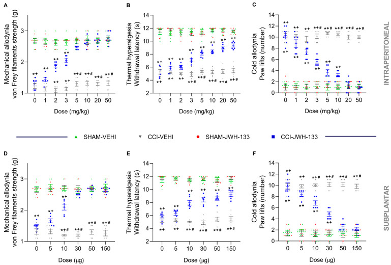 Effects of the intraperitoneal and subplantar administration of JWH-133 on the allodynia and hyperalgesia generated by CCI. Effects of several doses of JWH-133 intraperitoneally (A–C) and subplantarly (D–F) administered on the mechanical allodynia (A,D), thermal hyperalgesia (B,E) and cold allodynia (C,F) caused by CCI in the ipsilateral paws. The effects of JWH-133 or vehicle (VEHI) in the ipsilateral paws of sham-operated animals and those of the vehicle in the ipsilateral paws of CCI mice were also represented. For each assay, the symbols denote significant changes versus, * SHAM–VEHI, + SHAM–JWH-133 and # CCI–JWH-133 (p < 0.05; one-way ANOVA followed by Tukey test). Results are presented as the mean values ± SEM; n = 8 animals/group.