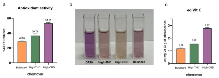 Antioxidant activity for each analyzed variety (High-CBD, Balanced, and High-THC): (a) % DPPH neutralized per 100 μL of extract, (b) Visual data of DPPH reacting to the chemovars, (c) mg Vitamin C equivalent per gram of inflorescence. Values are presented as means ± SD (n = 3).