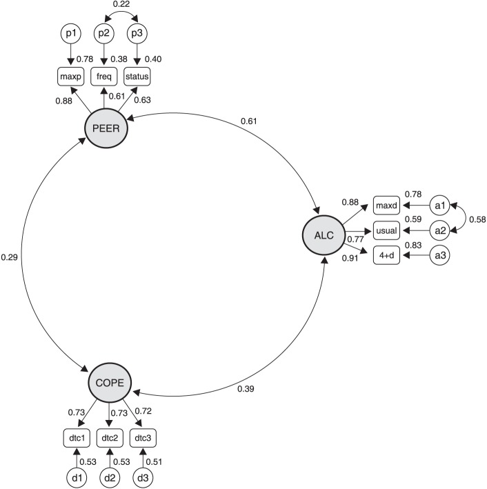 Final measurement model for 462 students: factor loadings for the three latent variables and correlations among the three. The measurement model of the structural equation models (SEM) is the part that relates actually measured variables to their assumed latent (not directly measured) variables and evaluates the relationships (correlations) among the latent variables. Here, all measured variables had significant loadings on their latent variables, and all three latent variables were significantly correlated with each other. PEER (the latent variable “peer drinking”) was generated from the Important People and Activities Scale28 using averages for four peers for three perceived peer drinking items: maximum quantity (maxp) on a 0-to-10 drink scale, frequency (freq) of days per month from zero (0) to daily (30), and peer drinking status (status) as average number of four peers who drank, scored dichotomously as abstainer/light drinker (0) vs. heavier drinker (1); COPE (the “drinking to cope” variable) was created by grouping six questions with responses ranging from almost never (1) to almost always (4) into three variable parcels, each combining two items from the DTC scale29 (dtc1 using items = forget worries and depression/anxiety, dtc2 using items = relax and more self-confident, and dtc3 using items = cheer up and nothing better to do); ALC (the “alcohol-drinking quantity” variable) is composed of three indicators assessing variables for the prior month: maximum drinking quantity (maxd), usual drinking quantity (usual), and number of times subject consumed four or more drinks per occasion (4+d).