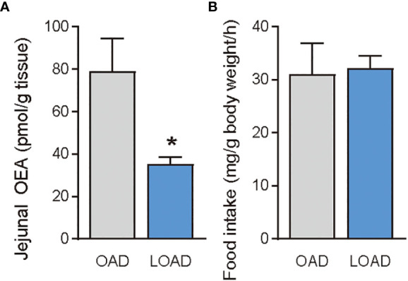 Jejunal OEA levels and food intake of mice fed the OAD and LOAD after 24 h of food deprivation. Mice were fed the OAD for one week and then deprived of food for 24 h. They were then fed either OAD or LOAD for 1 h. (A) Jejuna OEA levels and (B) food intake measured in mice. Values are expressed as means ± SEMs (n = 3). *P < 0.05.