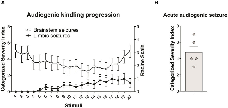 Behavioral seizure expression in Wistar Audiogenic Rats (WAR). (A) Evolution of audiogenic seizures in animals submitted to chronic audiogenic seizures in the audiogenic kindling (AuK) protocol (n = 10). The Categorized Severity Index (Rossetti et al., 2006) was used to analyze brainstem seizures, while the Racine's scale (Racine, 1972) was used to analyze limbic seizures. It is possible to observe the presence of brainstem tonic-clonic seizures (white circles) in the beginning of the protocol and the development of limbic seizures (black circles) during the chronic phase of the protocol. (B) Mean of brainstem seizure severity in WARs submitted to a single acoustic stimulation (n = 5). Data are expressed as mean ± standard error mean (SEM).