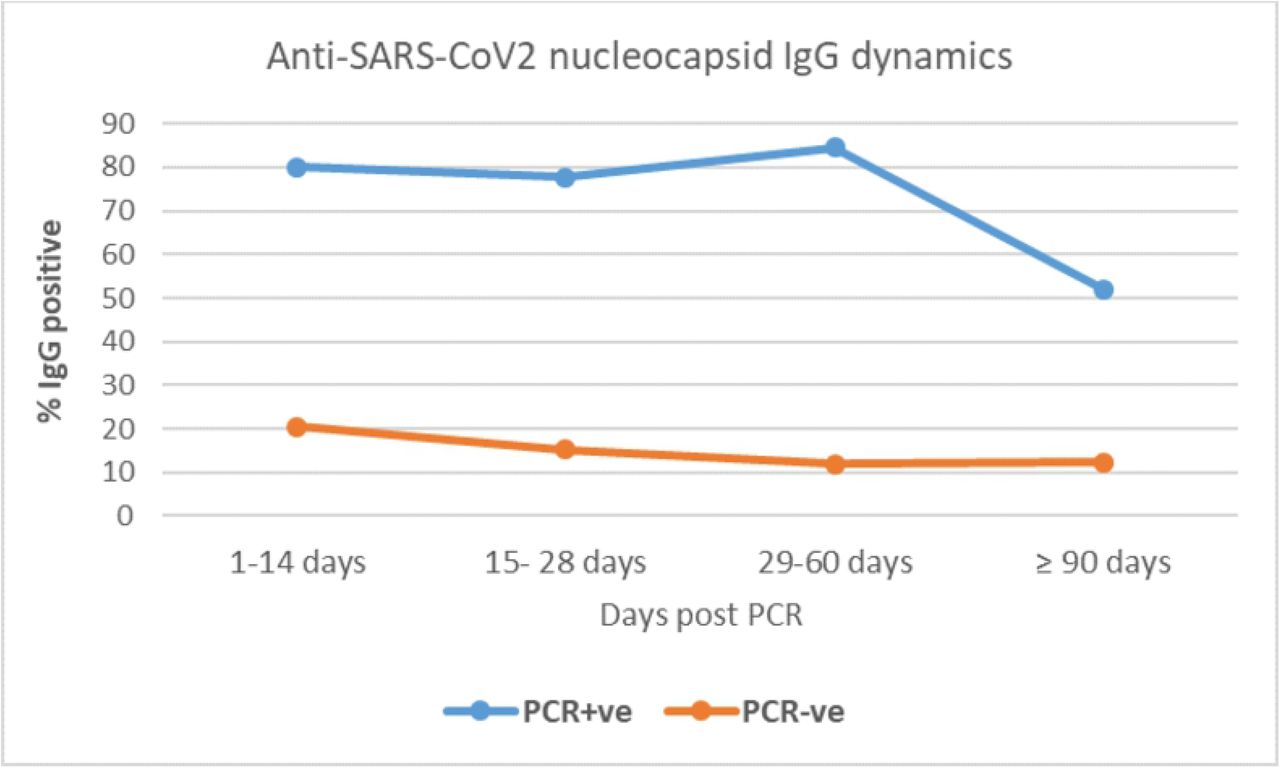 Proportion of HCWs with positive antibody over time after PCR test