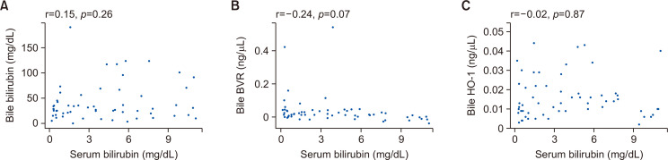 Correlation between serum and bile bilirubin levels (A), serum bilirubin and bile BVR (B), and serum bilirubin and bile HO-1 (C).