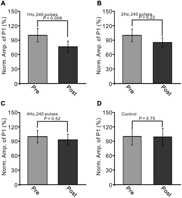 LTD of sensory-evoked P1 at PCs was induced by 1 Hz, but not by 2 Hz or 4 Hz. (A) Bar graph showing normalized amplitude of P1 before (pre) and after (post) delivery of 2 Hz (240 pulses) stimulation. (B) Summary of data showing normalized amplitude of P1 before (pre) and after (post) 2 Hz (240 pulses) stimulation. (C) Pooled data showing normalized amplitude of P1 before (pre) and after (post) 4 Hz (240 pulses) stimulation. (D) Bar graph showing normalized amplitude of P1 under control conditions (without train of facial stimulation). Note that the amplitude of P1 was depressed after 1 Hz stimulation, but not after 2 or 4 Hz stimulation.