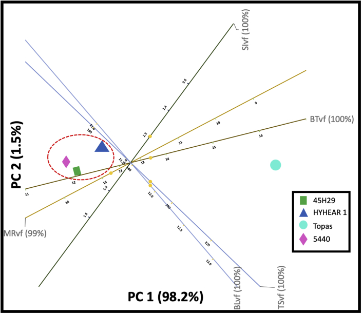 Figure 11