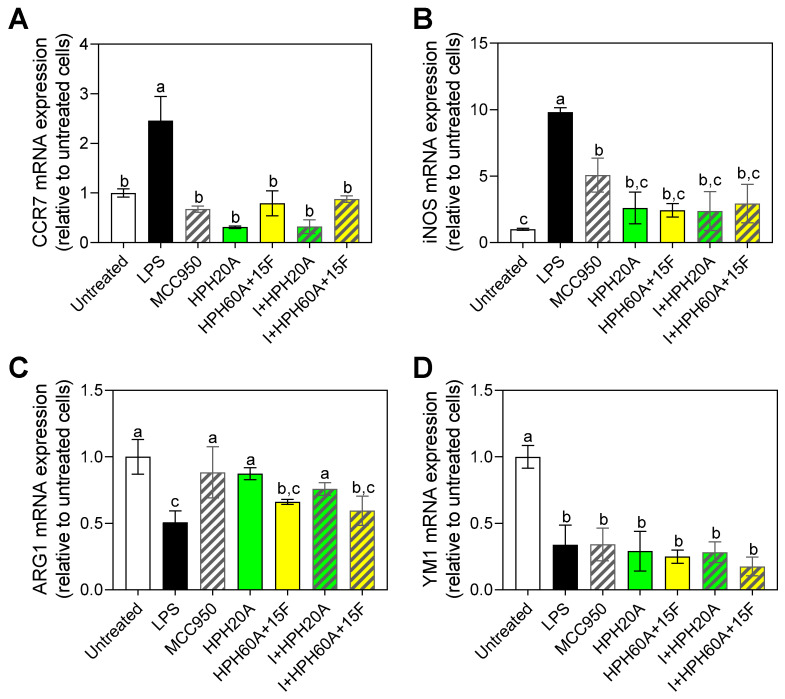 Gene expression of markers of polarization toward phenotypes M1, Ccr7 (A) and iNos (B), and M2, Arg1 (C) and Ym1 (D) in BV-2 cells after 24 h incubation with or without stimulation with LPS (1 µg/mL), as well as following treatment with MCC950 (I) and/or HPHs (100 µg/mL). Values are presented as the means ± SDs (n = 3); Different letters denote significant differences among the samples. (p < 0.05).