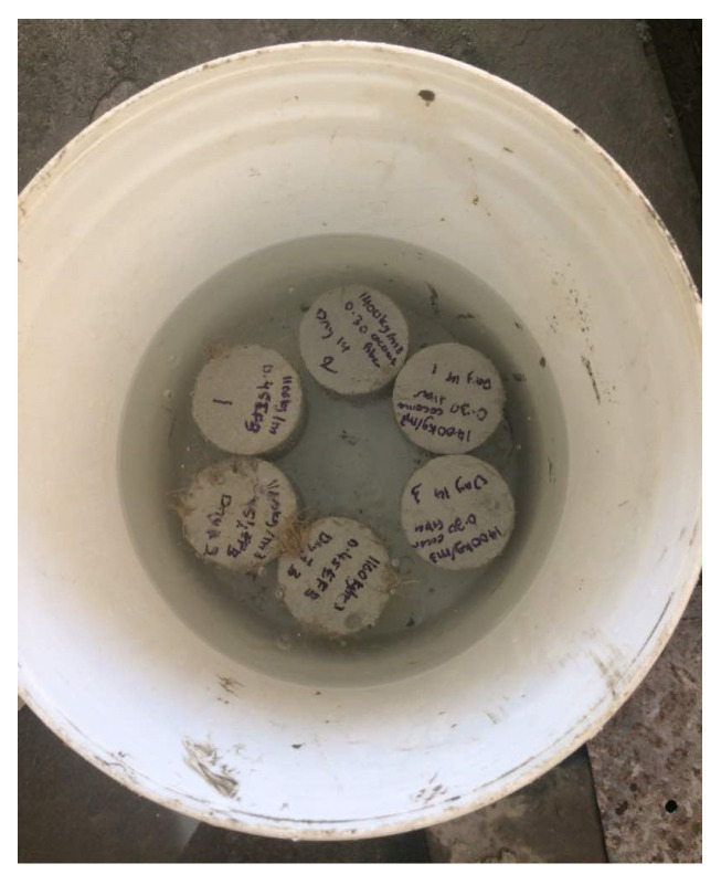 Water absorption test.