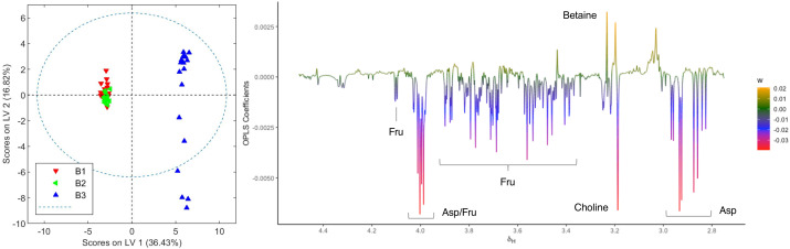 Score and loading factor plots obtained from the OPLS-DA between aqueous extracts of healthy and infected crops of chemovar B. The metabolites that differentiate the two groups are annotated in the loading factor plots. The R2Y and Q2Y coefficients for the model were 0.99 and 0.98, respectively, and the ROC curve had an AUC value of 1.00 (see Figures S15 , S16 ).