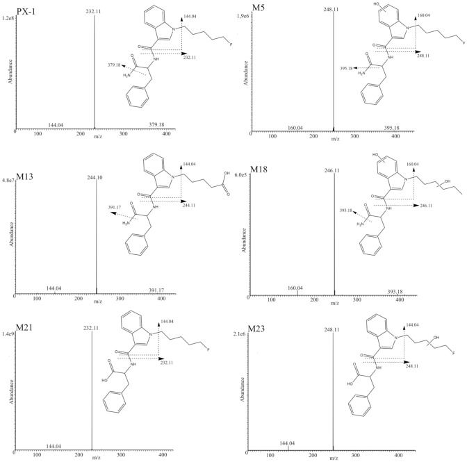 Product ion spectra of PX-1 and its five metabolites with proposed structures and fragmentation patterns
