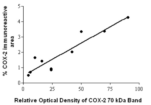 COX-2 Western blots correlate with immunohistochemistry studies. Spearman plots of COX-2, 70 kDa optical density readings compared to COX-2 image analysis from MS spinal cords. Number of XY pairs 10.