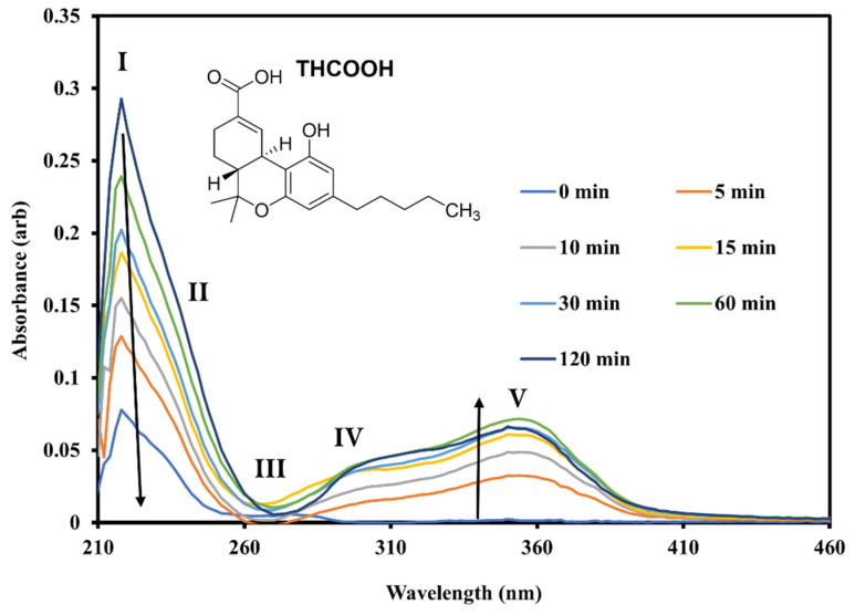 Solution-phase UV–Vis absorption spectra of THCOOH in MeOH obtained following irradiation at 280 nm over 0–120 min. The arrows indicate the changes in the UV spectral bands upon photolysis.