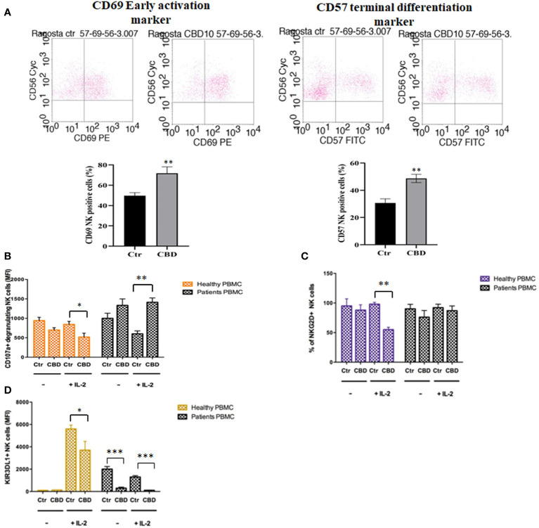 CBD affects the degranulating and inhibitory activity of Natural killer cells. Natural killer cells were isolated as indicated in Materials and methods section. Healthy donors’ and psoriatic individuals’ NKs (2*106/ml in complete RPMI) were treated with CBD (10μM) or with vehicle alone (DMSO 0,1%) for 18 hours. (A) The panel shows a representative flow cytometry dot plot reporting the CD69 (early activation marker of NKs) expression on gated CD56 positive cells. Below, bar graph shows the flow cytometry histogram profile of CD69 protein levels at the cell surface of CD56+ NKs. (B-D) The flow cytometry histograms show the mean fluorescence intensity (MFI) of CD107a (marker of NKs degranulation), NKG2D (NK activator cell receptor) and KIR3DL1 (NK inhibitory cell receptor), respectively, in CD56 positive NK cells, after exposing NKs to CBD (10μM) for 18h hours in presence or absence of IL-2 (200IU/ml). We gated on low side scatter lymphocytes and then used CD3 and CD56 to identify NK cells (CD56+ CD3−). (ANOVA; *p< 0,05; **p< 0,01; ***p< 0,001).