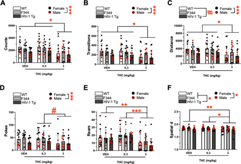 THC significantly reduced counts, transitions, distance, pokes, rears, and spatial d in both controls and tg animals. A Counts, B Transitions, C Distance travelled, D Pokes, E Rears and, F Spatial d recorded in WT, F344 (controls), and HIV-1 transgenic (tg) rats at acute exposure to vehicle (VEH), 0.3 mg/kg, and 3 mg/kg THC. THC (3 mg/kg) reduced counts (A), lowered transitions (B), lowered distance travelled (C), lowered pokes (D), reduced rearing behavior (E), and decreased spatial d (F) irrespective of group relative to 0.3 mg/kg- and/or vehicle (0)-treated rats. Bar plots represent group means, and individual points are shown ± S.E.M. Black data points represent female subjects while red points represent males. Significant main effects are indicated by *p < 0.05, **p < 0.01, or ***p < 0.001 and trending effects are indicated by #p < 0.1