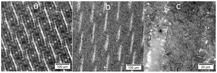 Optical micrographs of (a) the surface of the polyamide 6.6 fabric used as a filter in the handsheet formation process and (b,c) the surface of the handsheet at different magnifications, showing (b) the imprinted pattern from the nylon filter and (c) the microstructure formed by the nanocellulose.