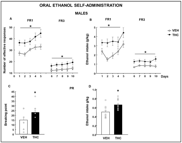 Oral ethanol self-administration evaluation in male mice perinatally exposed to dronabinol (THC) or its vehicle (VEH). Number of effective responses during the fixed ratio 1 (FR1) and fixed ratio 3 (FR3) stages (A). Ethanol intake is expressed as g/kg during the FR1 and FR3 stages (B). A breaking point was achieved, and ethanol intake was taken during the progressive ratio (C and D, respectively). * represents values from THC mice that are significantly different (A,B, two-way RM ANOVA, p < 0.05; C,D, Student’s t-test, p < 0.05) from those of the VEH-treated group.