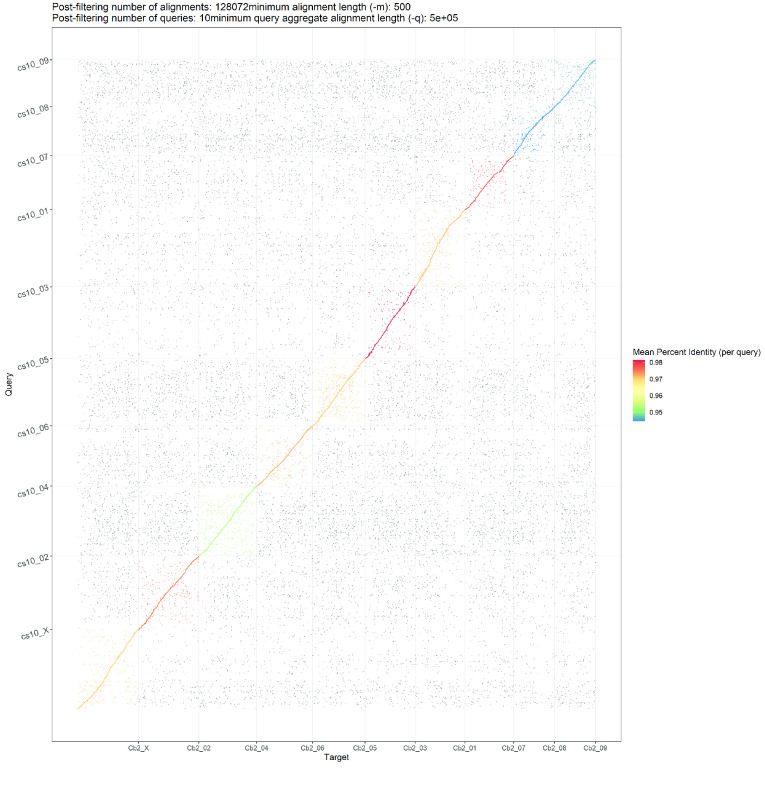 Dot plot showing alignments of Cannbio-2 sequence assembly to the whole genome sequence assembly of cs10.