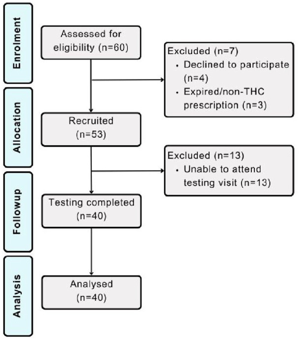 Participant CONSORT flow diagram.