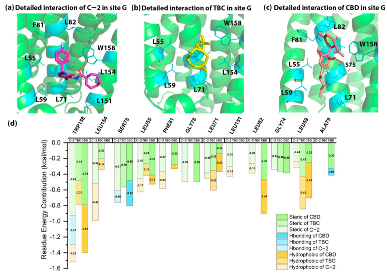 The detailed interactions and residue energy contribution of C-2, TBC and CBD in site G. (a) The detailed binding pose of C-2 in site G. (b) The detailed binding pose of TBC in site G. (c) The detailed binding pose of CBD in site G. (d) The comparisons of residue energy contribution of the key residues for these AMs in site G.