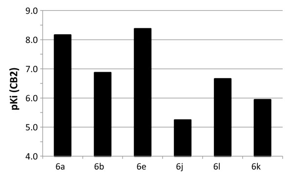 Influence of substitution at ring C (cf. Figure1) on affinity towards hCB2. The pKi values were calculated according to pKi = −log (Ki). High pKi values represent high affinity.